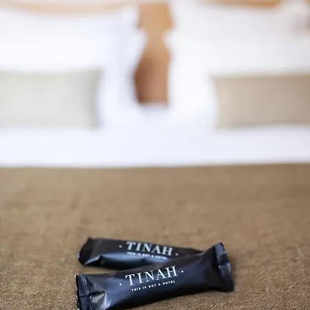 Tinah Paris, Champs Elysées Hotel Parigi