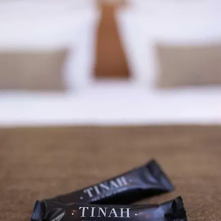 Tinah Paris, Champs Elysées Parigi