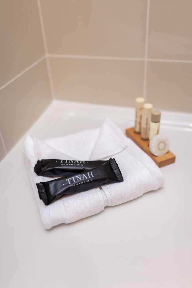 Tinah Paris, Champs Elysees Hotel 3*