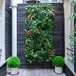 Tinah Paris, Champs Elysees